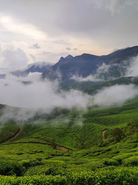 Munnar Backpacking Trip