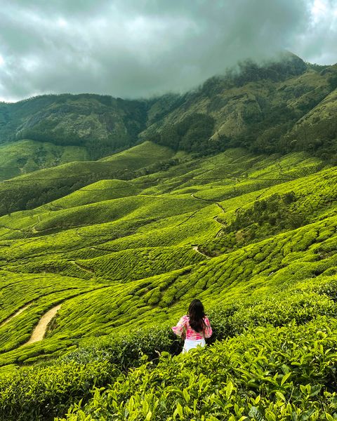 Munnar Backpacking Trip