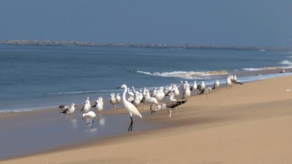 Kochi Alleppey Weekend Backpacking Trip