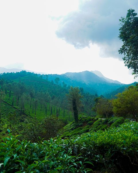 Wayanad Backpacking Trip