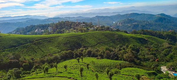 Kerala Backpacking RoadTrip (5N 6D)